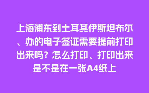 上海浦东到土耳其伊斯坦布尔、办的电子签证需要提前打印出来吗？怎么打印、打印出来是不是在一张A4纸上