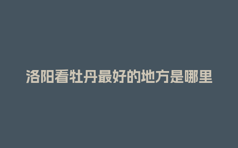 洛阳看牡丹最好的地方是哪里