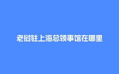 老挝驻上海总领事馆在哪里