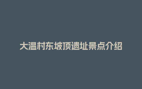 大温村东坡顶遗址景点介绍