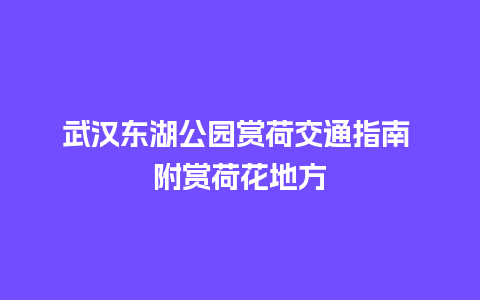 武汉东湖公园赏荷交通指南 附赏荷花地方