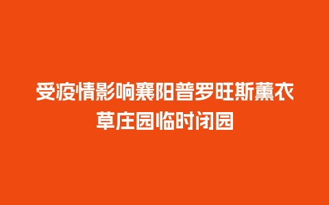 受疫情影响襄阳普罗旺斯薰衣草庄园临时闭园