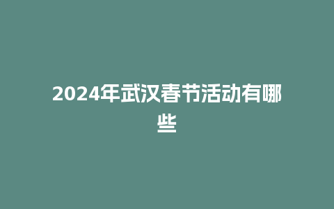 2024年武汉春节活动有哪些