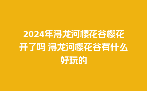 2024年浔龙河樱花谷樱花开了吗 浔龙河樱花谷有什么好玩的