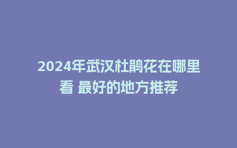 2024年武汉杜鹃花在哪里看 最好的地方推荐