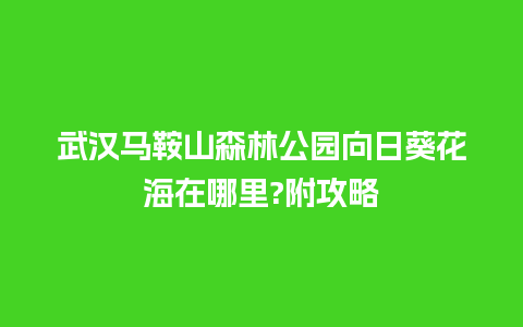 武汉马鞍山森林公园向日葵花海在哪里?附攻略