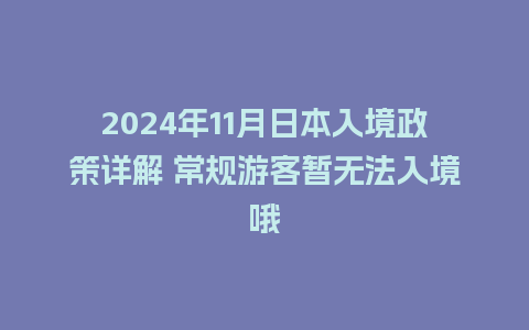 2024年11月日本入境政策详解 常规游客暂无法入境哦