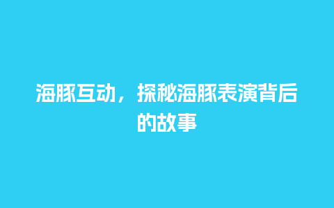 海豚互动，探秘海豚表演背后的故事