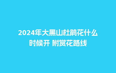 2024年大黑山杜鹃花什么时候开 附赏花路线