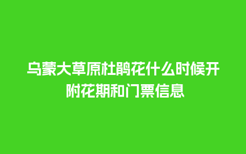 乌蒙大草原杜鹃花什么时候开 附花期和门票信息