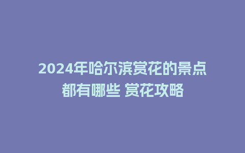 2024年哈尔滨赏花的景点都有哪些 赏花攻略