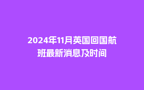 2024年11月英国回国航班最新消息及时间