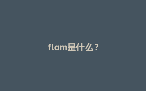 flam是什么？