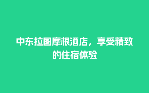 中东拉图摩根酒店，享受精致的住宿体验