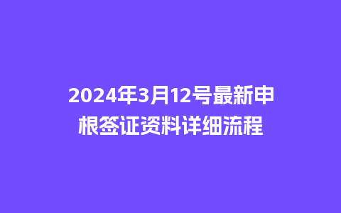 2024年3月12号最新申根签证资料详细流程