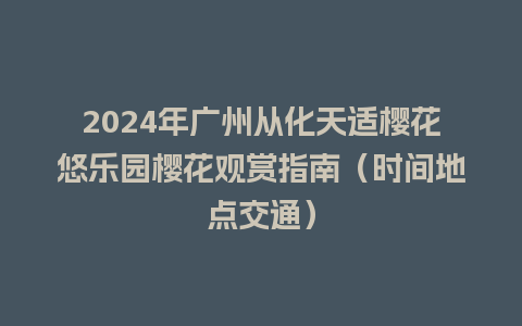 2024年广州从化天适樱花悠乐园樱花观赏指南（时间地点交通）