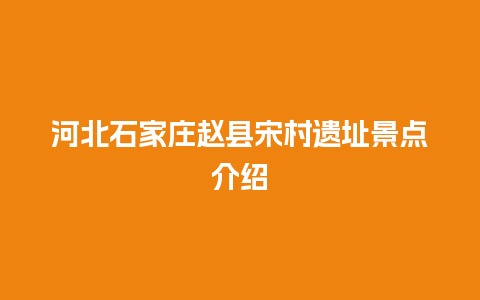 河北石家庄赵县宋村遗址景点介绍