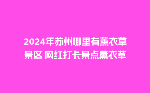 2024年苏州哪里有薰衣草景区 网红打卡景点薰衣草