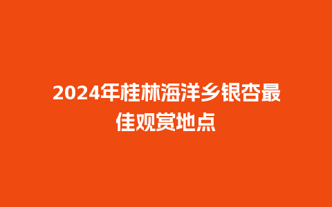 2024年桂林海洋乡银杏最佳观赏地点