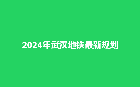 2024年武汉地铁最新规划