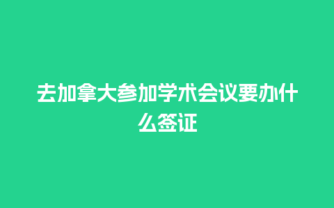 去加拿大参加学术会议要办什么签证