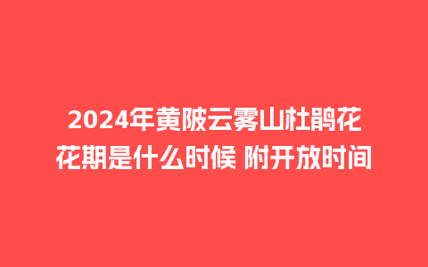 2024年黄陂云雾山杜鹃花花期是什么时候 附开放时间