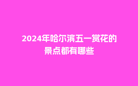 2024年哈尔滨五一赏花的景点都有哪些