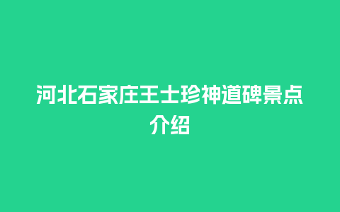 河北石家庄王士珍神道碑景点介绍