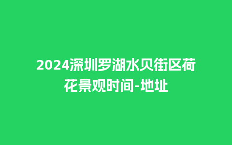 2024深圳罗湖水贝街区荷花景观时间-地址