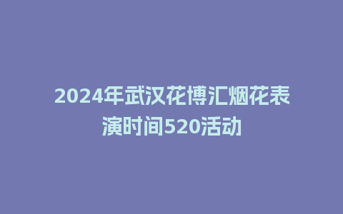 2024年武汉花博汇烟花表演时间520活动