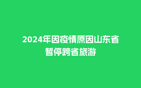 2024年因疫情原因山东省暂停跨省旅游