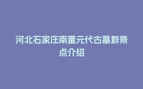 河北石家庄南董元代古墓群景点介绍