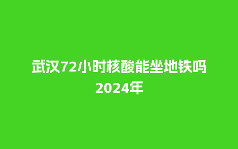 武汉72小时核酸能坐地铁吗2024年