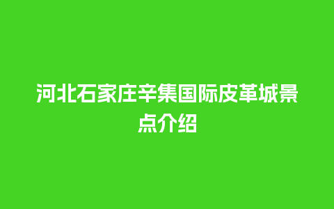 河北石家庄辛集国际皮革城景点介绍