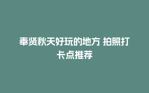 奉贤秋天好玩的地方 拍照打卡点推荐