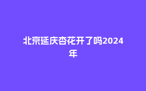 北京延庆杏花开了吗2024年