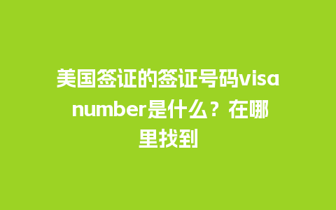 美国签证的签证号码visa number是什么？在哪里找到