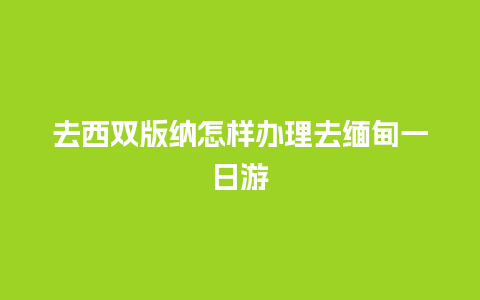 去西双版纳怎样办理去缅甸一日游