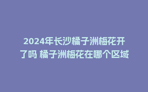 2024年长沙橘子洲梅花开了吗 橘子洲梅花在哪个区域