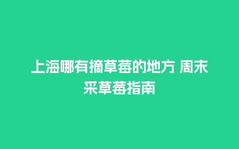 上海哪有摘草莓的地方 周末采草莓指南