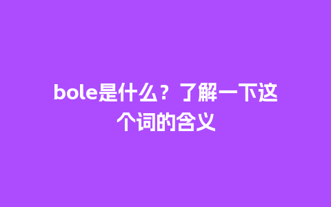 bole是什么？了解一下这个词的含义