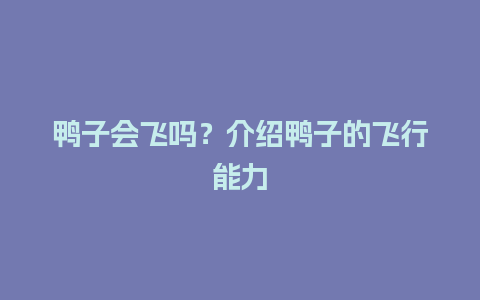 鸭子会飞吗？介绍鸭子的飞行能力