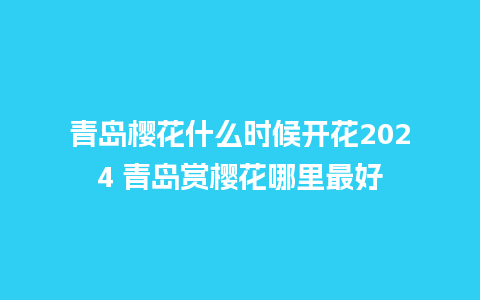 青岛樱花什么时候开花2024 青岛赏樱花哪里最好