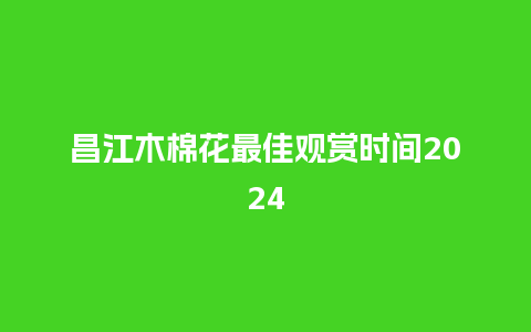 昌江木棉花最佳观赏时间2024