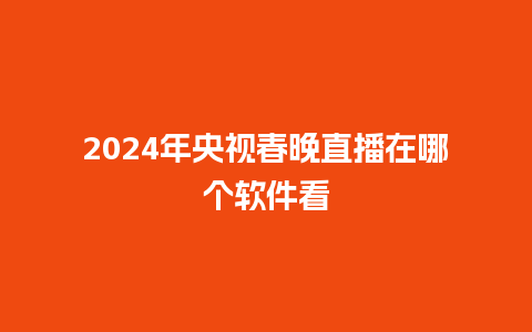 2024年央视春晚直播在哪个软件看