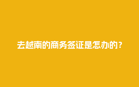 去越南的商务签证是怎办的？