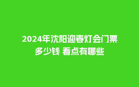 2024年沈阳迎春灯会门票多少钱 看点有哪些