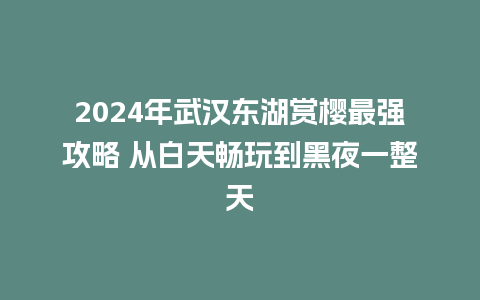 2024年武汉东湖赏樱最强攻略 从白天畅玩到黑夜一整天