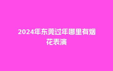 2024年东莞过年哪里有烟花表演