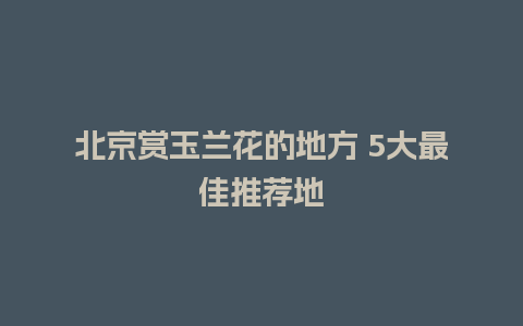 北京赏玉兰花的地方 5大最佳推荐地